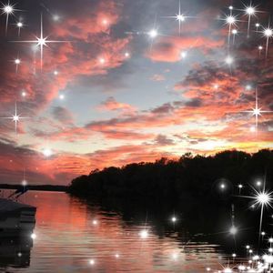 Meet your Posher, Penny